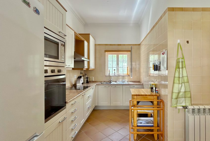 IMG_5528